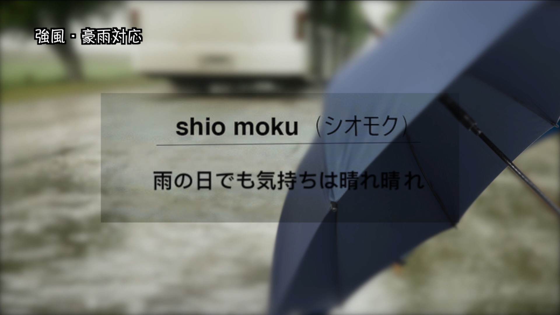 雨伞电商产品拍摄